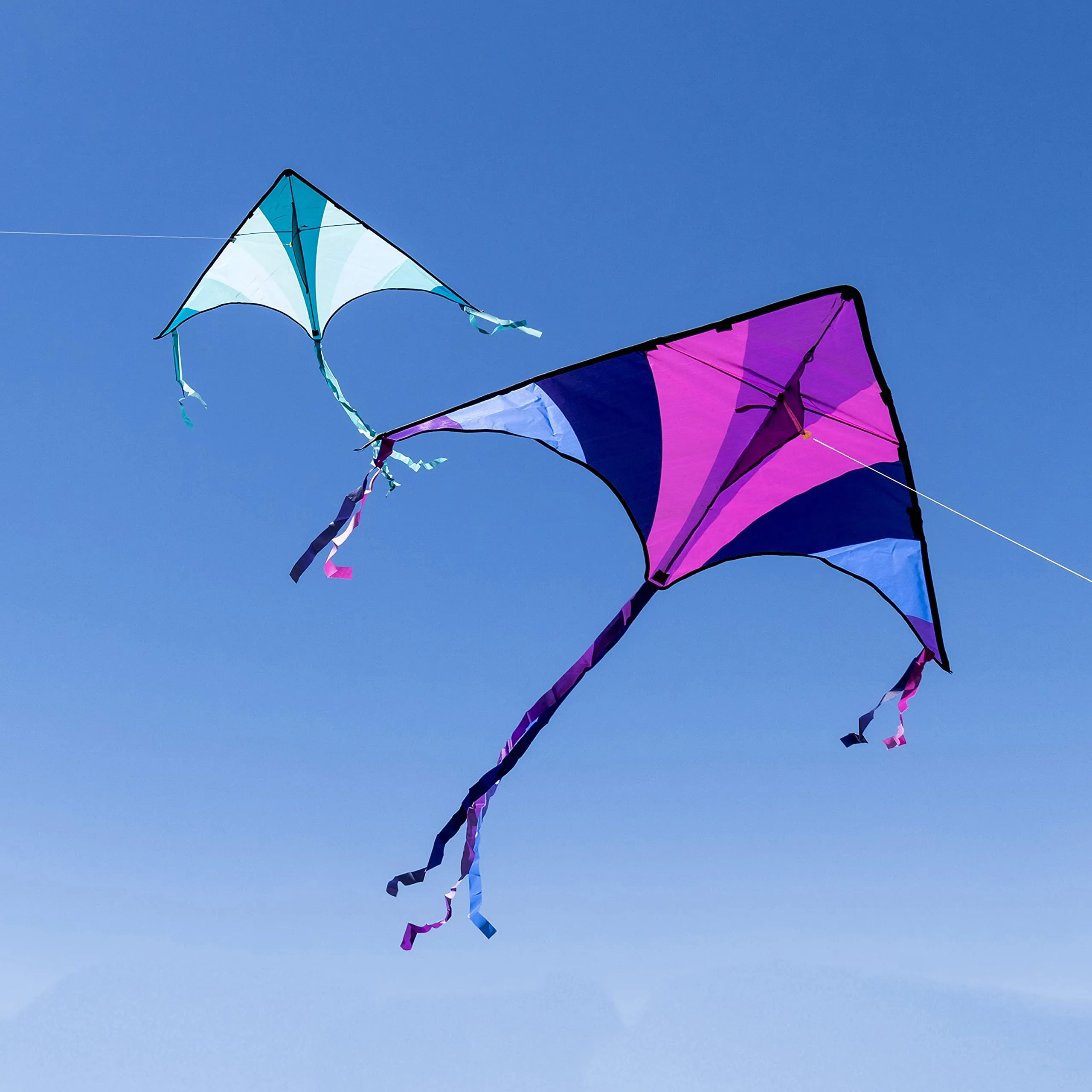 JOYIN 2 Packs Large Delta Kite Blue and Purple Kite Easy to Fly Huge Kites for Kids and Adults with 262.5 ft Kite String, Large Delta Beach Kite for